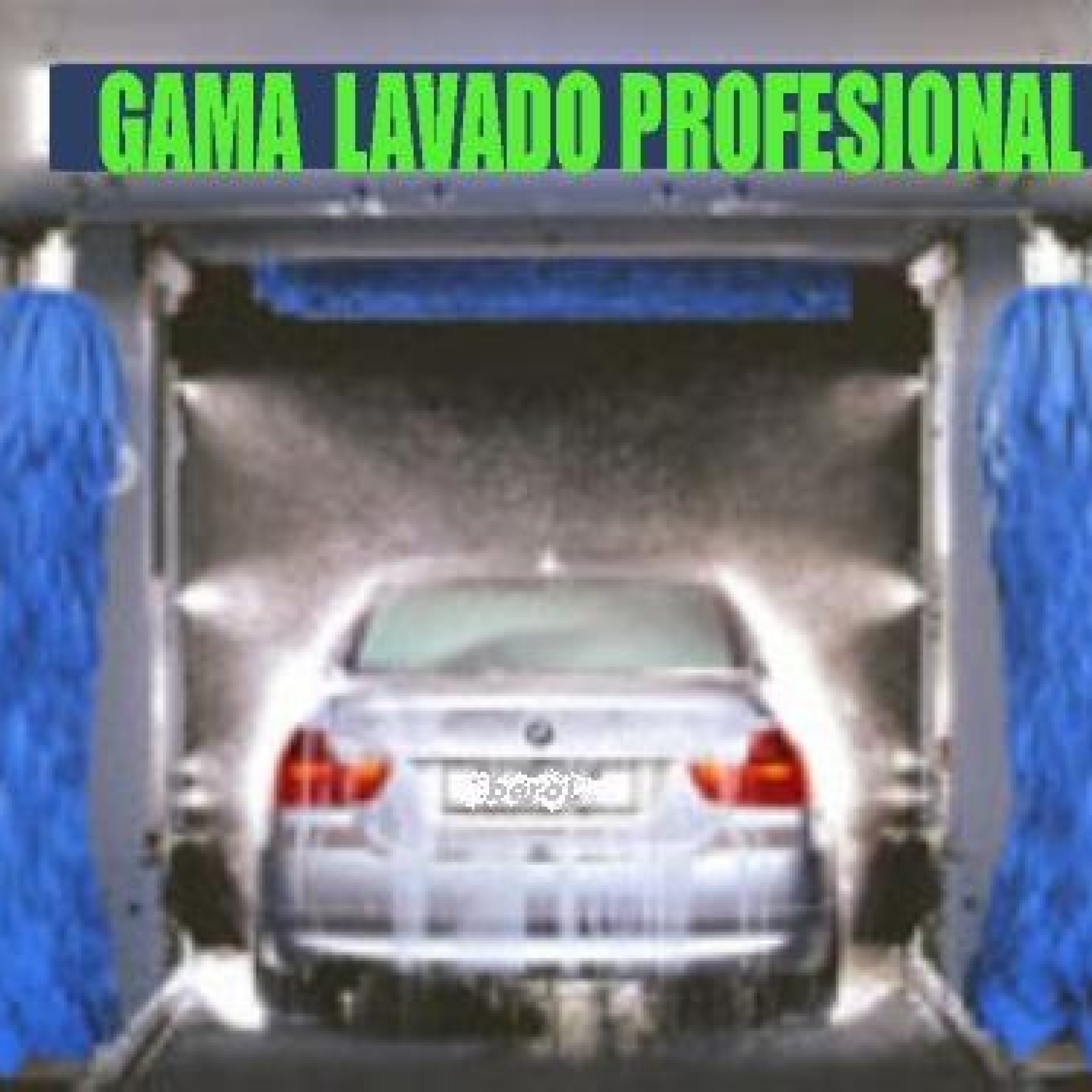 LAVADO BMW CON NOMBRE